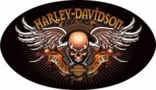 Harley Davidson - Biker to the Bone