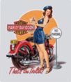 Harley Davidson - Parking Ticket