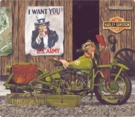 Harley Davidson - Freedon Riders