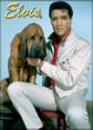 Elvis Presley - Hound Dog Magnet