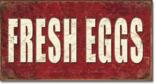 Fresh Eggs