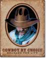 Cowboy By Choice