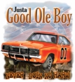 Dukes of Hazzard - Good ole Boys Metal Sign
