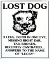 Lost Dog "Lucky"