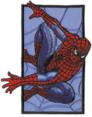 Spiderman - Wall Patch