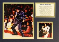Elvis - In Concert matted print