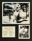 Marilyn Monroe - Fence Matted Photos