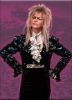 Labyrinth- Jareth Magnet