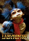 Labyrinth- Worm Magnet