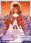 Labyrinth- One Sheet Magnet