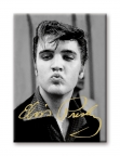 Elvis- Kiss Magnet