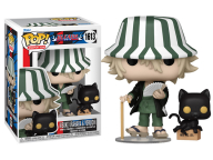 Bleach- Kisuke Urahara & Yoruichi Pop!