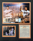 Cal Ripken