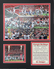 Georgia Bulldogs 2021 Champions