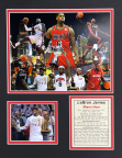 LeBron James Miami Heat - 11x14 Matted Photos