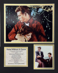 Rebel without a Cause