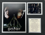 Harry Potter and the Deathly Hallows Part 1 - 11x14 Matted Photos