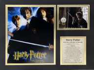 Harry Potter and The Chamber of Secrets - 11x14 Matted Photos