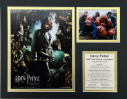 Harry Potter Prisoner of Azkaban - 11x14 Matted Photos