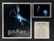 Harry Potter and the Order of the Phoenix - 11x14 Matted Photos