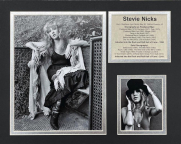 Stevie Nicks 11x14 Matted Photos