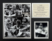 Godzilla Mosaic Matted Photos