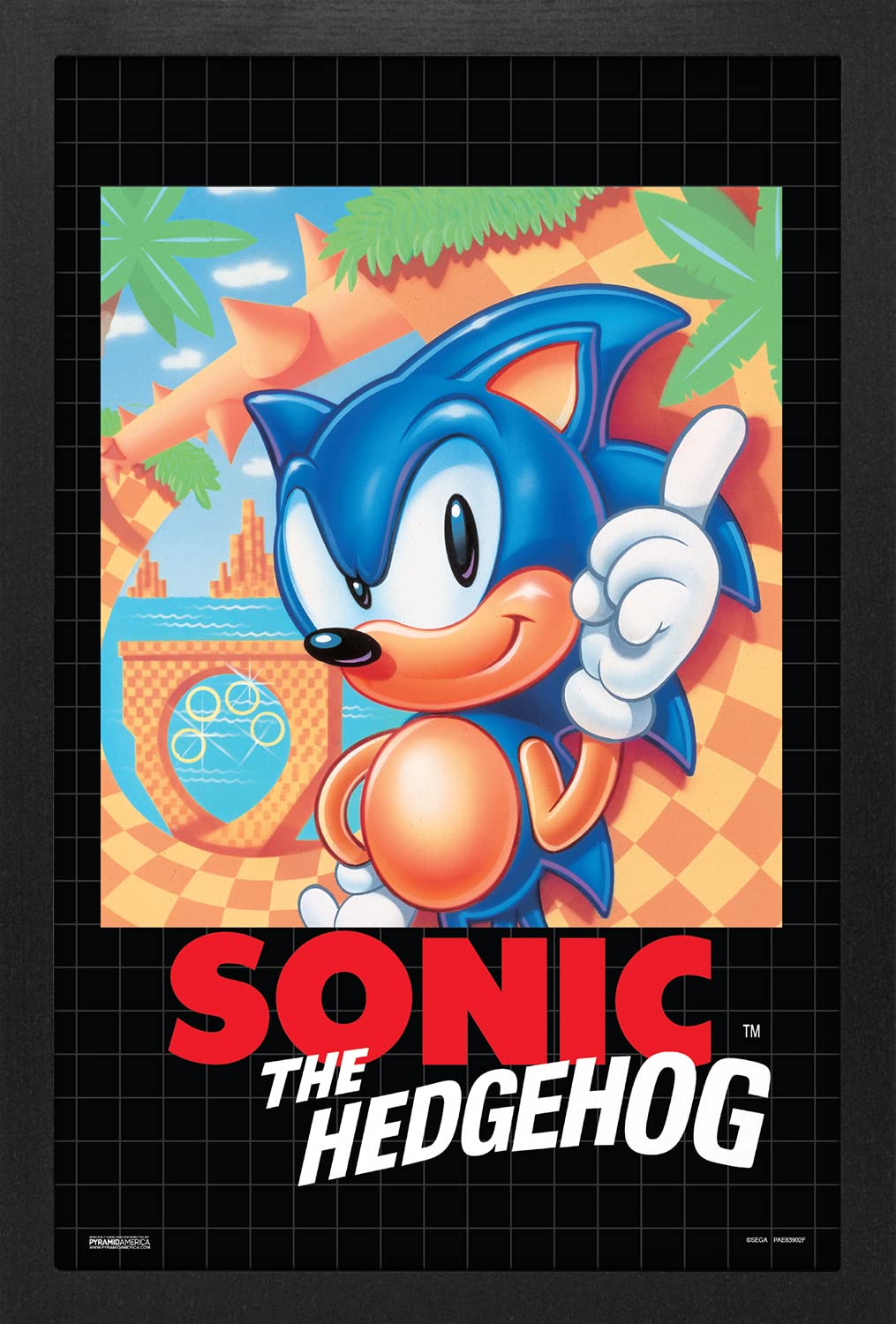 Sonic