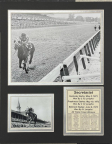 Secretariat - 11x14 Matted Photos