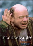 Princess Bride - Inconceivable Magnet