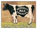 Hershey - Cow