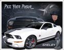 Shelby Mustang - You Pick